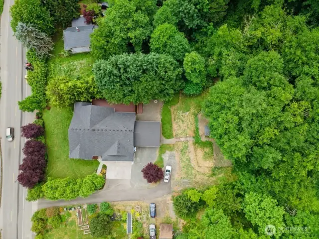 Drone View