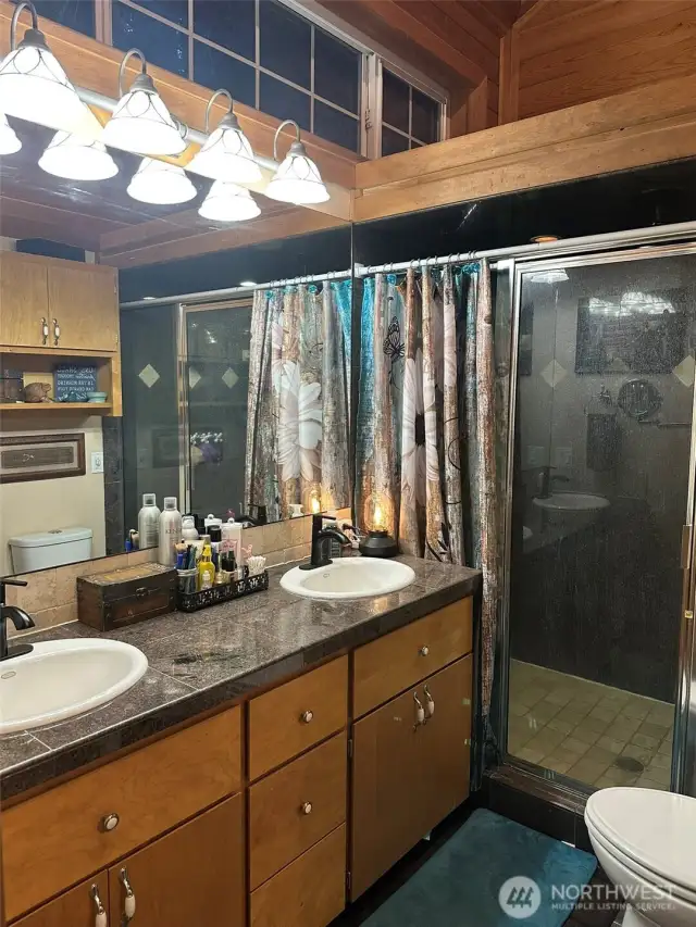 Master bathroom with huge, marble tiled shower, dual sinks & space above shower for plants or ???