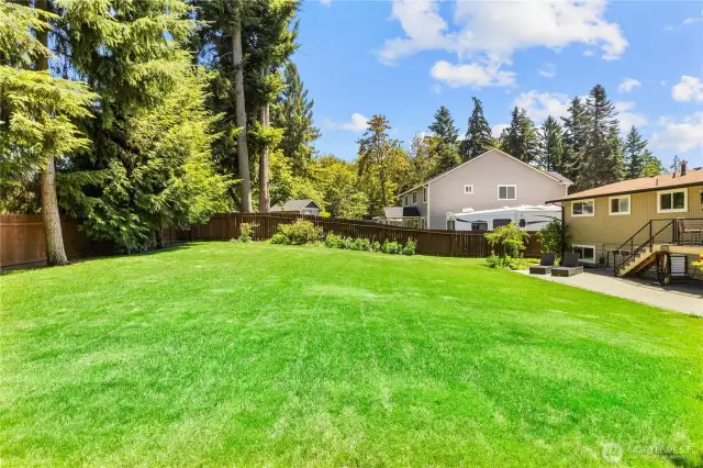REAR GRASSY YARD - Showing back of house