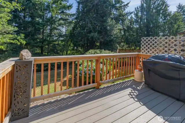 Back Deck
