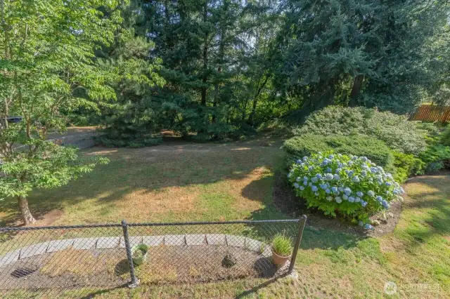 Looking onto the Terraced Back Yard