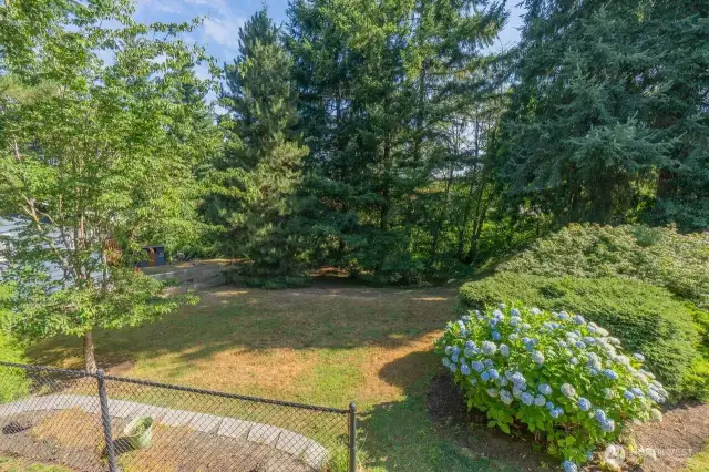 Looking onto the Terraced Back Yard