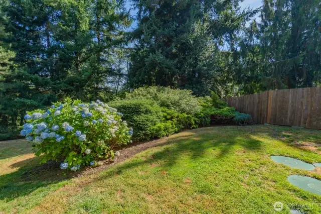 S. Side of Back Yard
