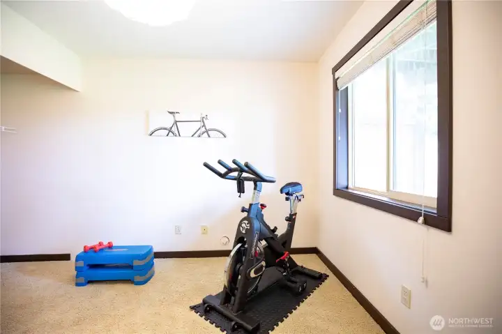 Downstairs bedroom.