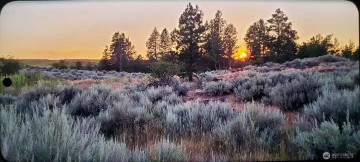 Mostly rolling hills flat trees natural beauty