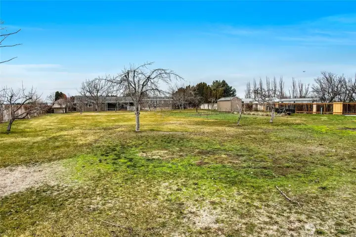 The back yard has plenty of privacy on both sides.