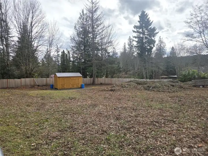 Facing east from the northwest corner of the property.