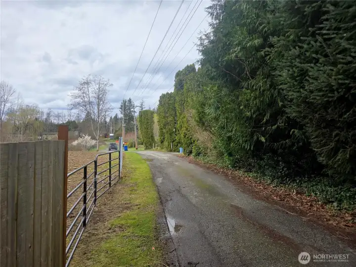 North end of the property facing west from outside the fenced area.