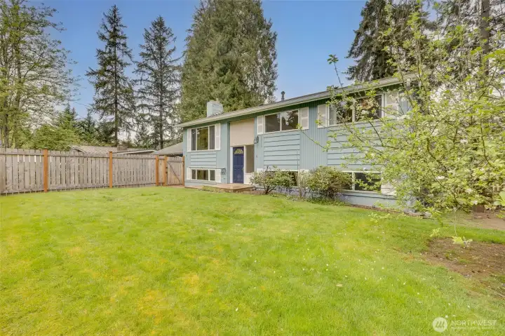 Front yard looking north