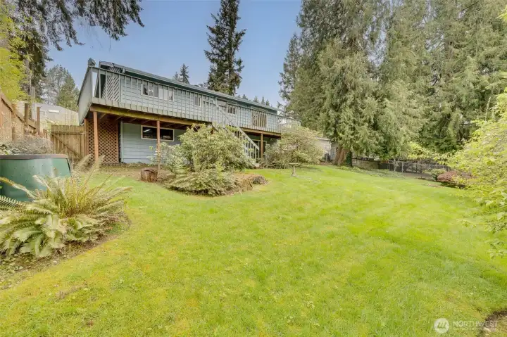 Large backyard