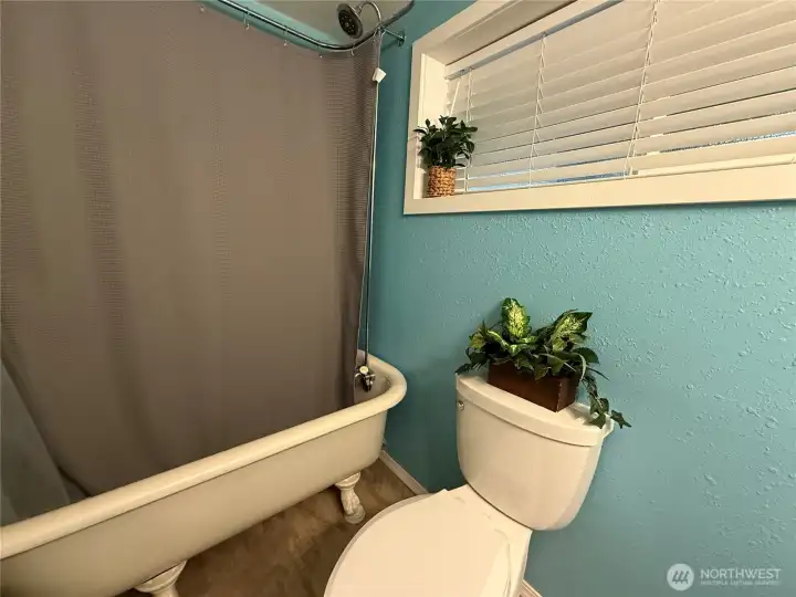 Lovely claw-foot tub and shower.