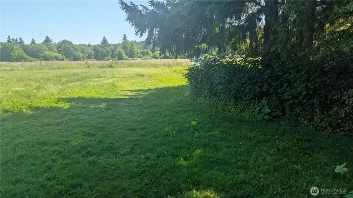 This is the backyard. The property is 0.19 acres, so it's not what you see. Just a small portion