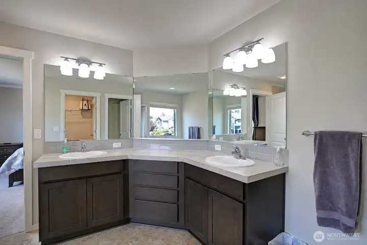 Double sink vanity with lots of counter space