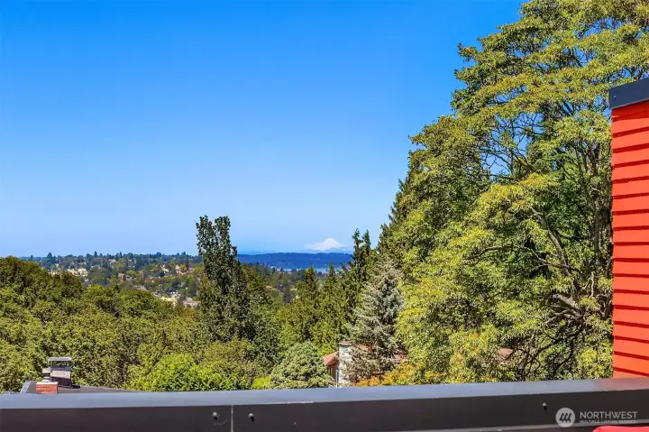view of Mt Baker from rooftop