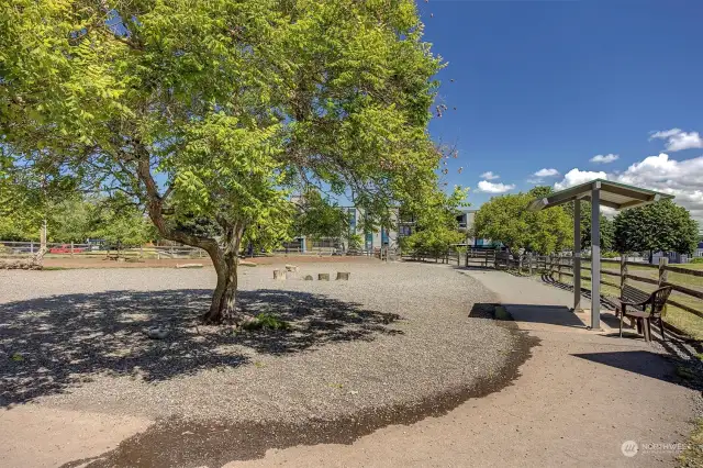 Across the street is a fabulous dog park and community garden!