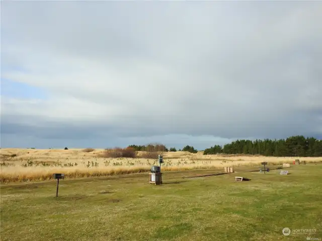 View of Picnic Area