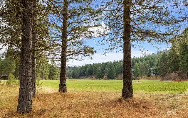 View from back of homesite