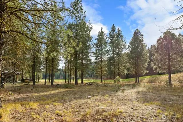 Sunny southern facing homesite