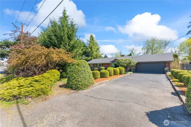 Driveway