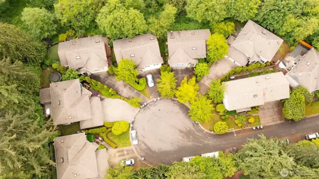 Aerial of Cul-de-sac.