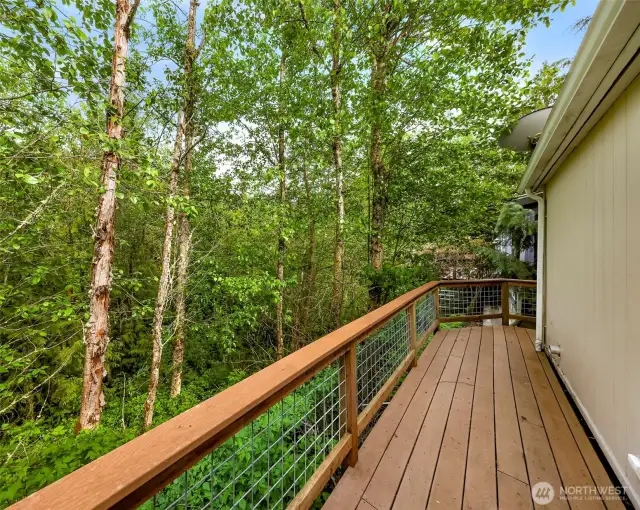 Back deck