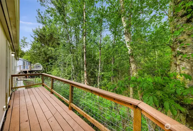 Back deck