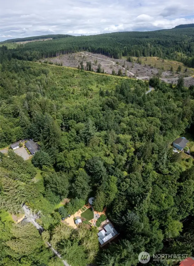 Galbraith Mountain and it's infamous mountain biking trials at your door step