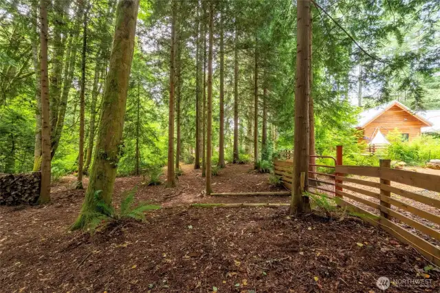 Explore rest of the 1.9 acres beyond the fence