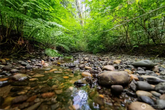 The creek at the bottom of the property