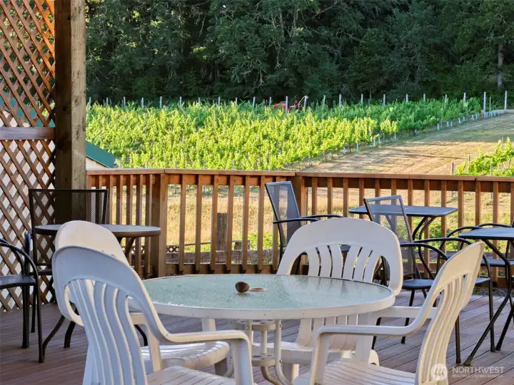 Vineyard View