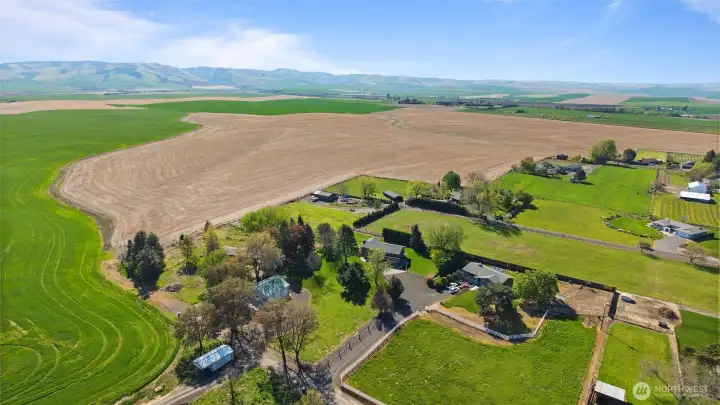 The changing of the seasons is spectacular to witness across the fields and into the Blues.