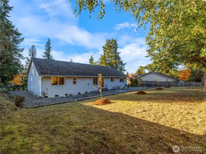 The back yard has privacy and is partially fenced with fruit trees and a large patio.