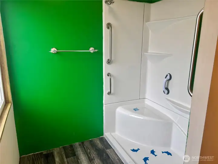 Primary bathroom shower