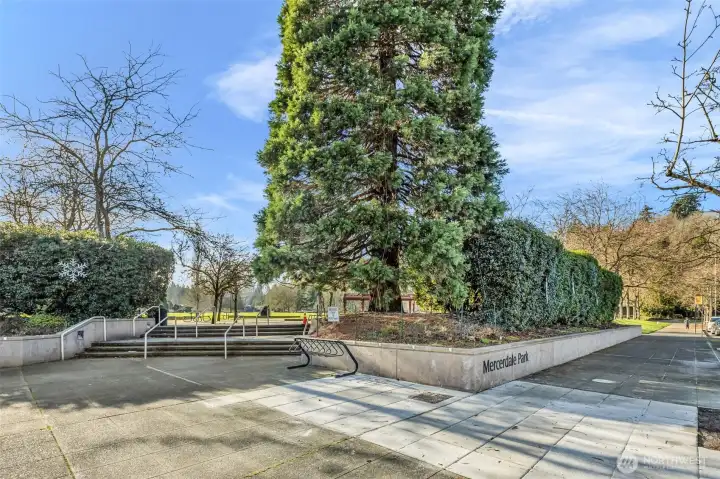 Mercerdale Park just around the corner.