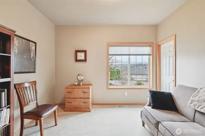 Another spacious bedroom ideal for guests or home office, with another walk-in closet.