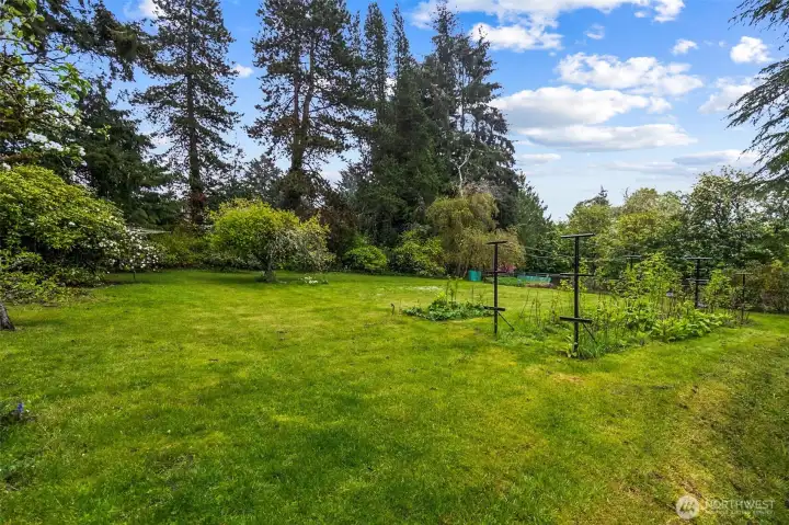 Back of the property