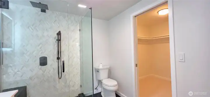 Primary bathroom and walk-in closet.