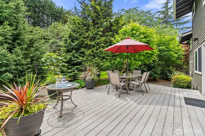 Large entertaining deck overlooking the backyard Large entertaining deck overlooking the backyard