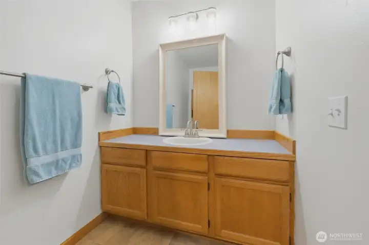 Downstairs quarter bath is roomy with extra storage.