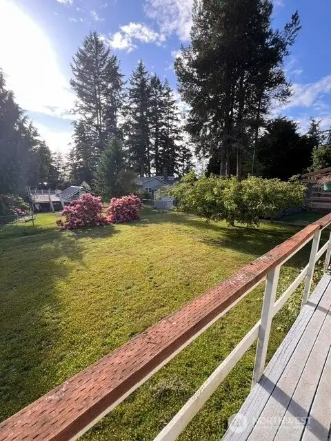 Large backyard