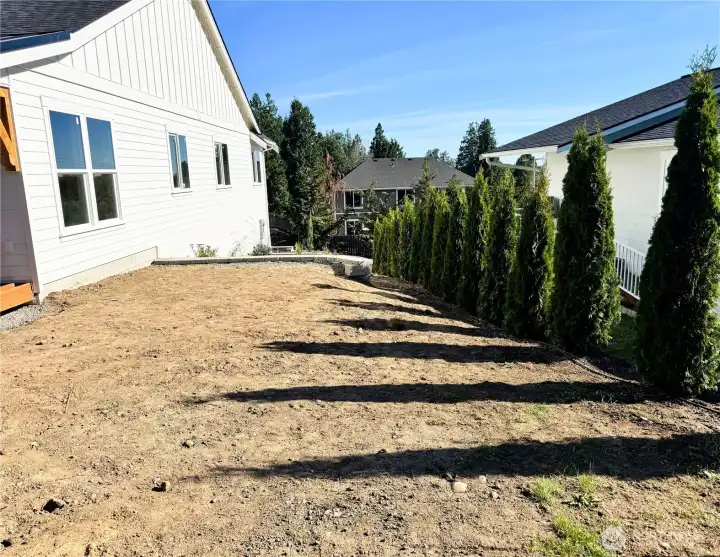 View from back corner of yard looking toward terraced side. Privacy hedge already planted! View from back corner of yard looking toward terraced side. Privacy hedge already planted!