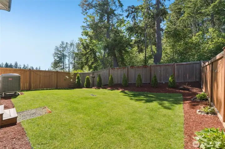 Fully fenced back yard