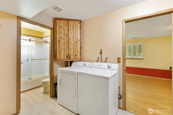 Utility room on lower level connects to great room, full bath, bedroom and garage. Washer and Dryer convey