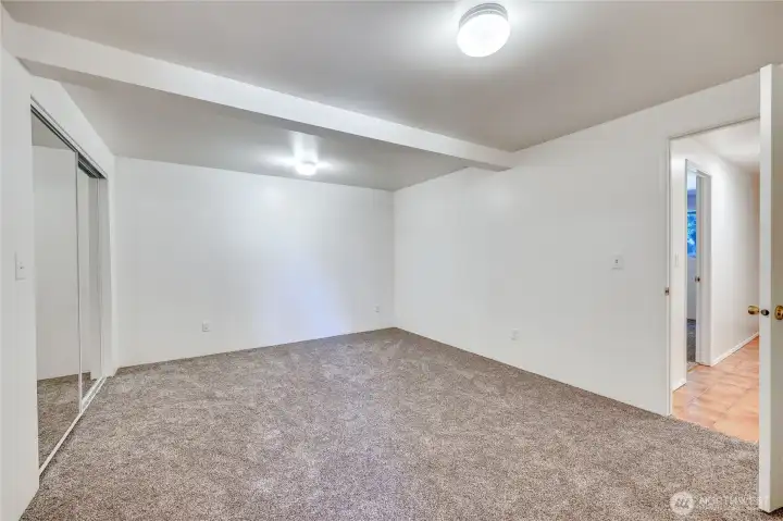 Downstairs extra room. It has a closet but no windows Downstairs extra room. It has a closet but no windows