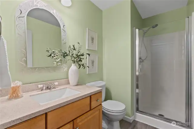 Lower level bathroom with a step-in shower