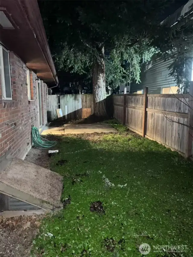 backyard