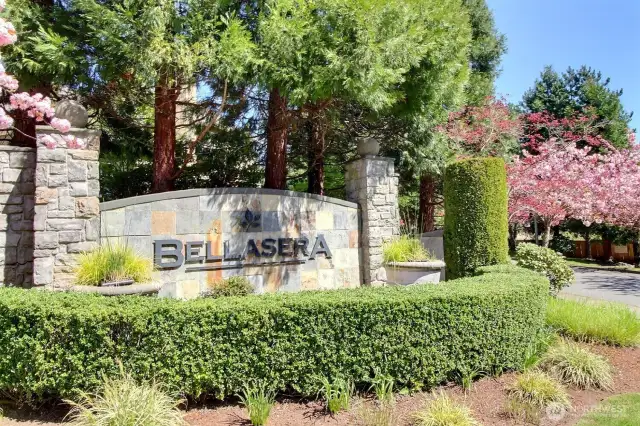 Bellasera is a wonderful Chaffey development of luxury homes.