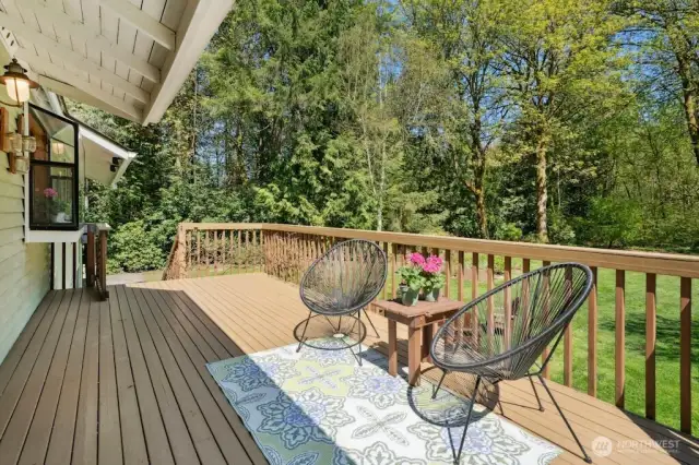 Backyard deck is large and inviting