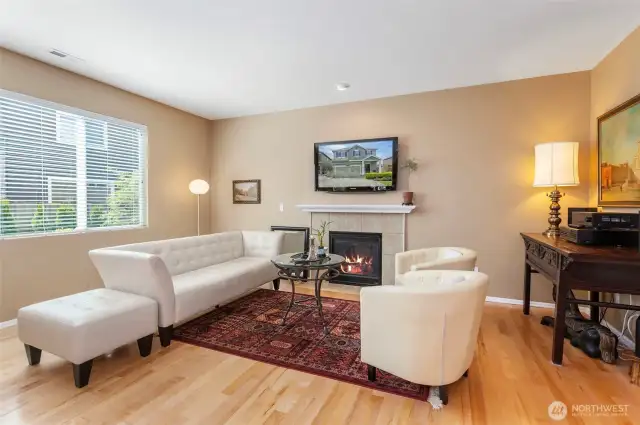 View of living room with fireplace and TV