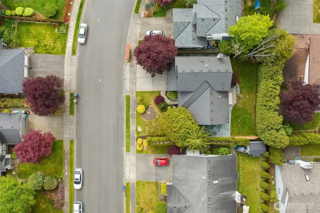 Quiet Street with Sidewalks